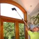 CLEANO30 - Nettoyage des surfaces intérieures à l'eau pure, vitres