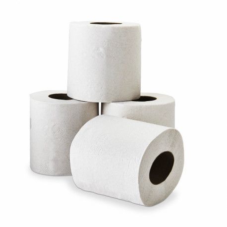 Papier toilette Ecolabel 2 plis - 96 rouleaux de 200 formats