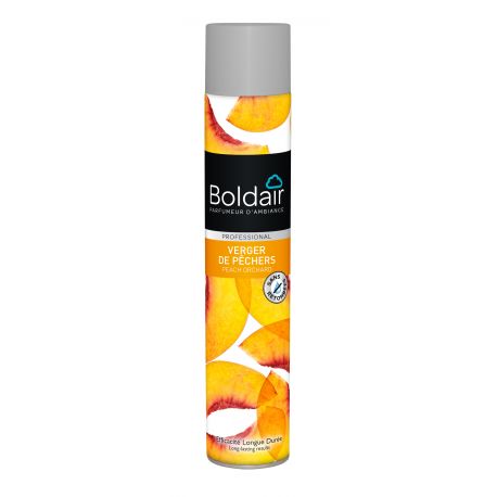 Désodorisant désinfectant premium Boldair aérosol 500 ml - lot de 2